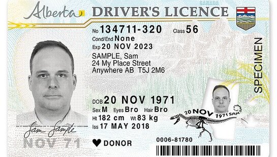 Alberta & Saskatchewan Novelty Drivers License