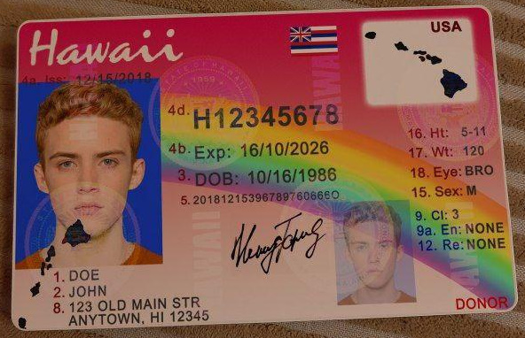 Buy Hawaii Fake ID Online | 2026 Scannable Hawaiian Fake ID