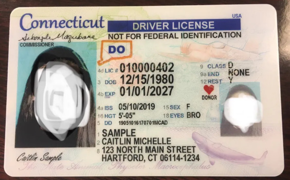 Connecticut Fake ID & Fake Driver License