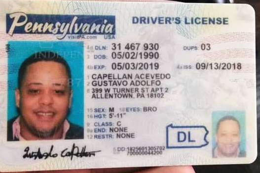 Pennsylvania Fake ID