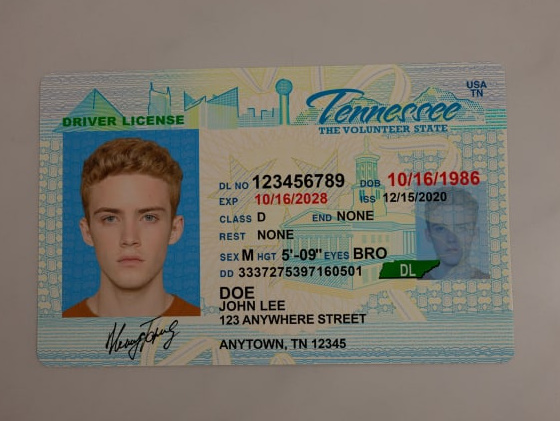 Tennessee Fake ID