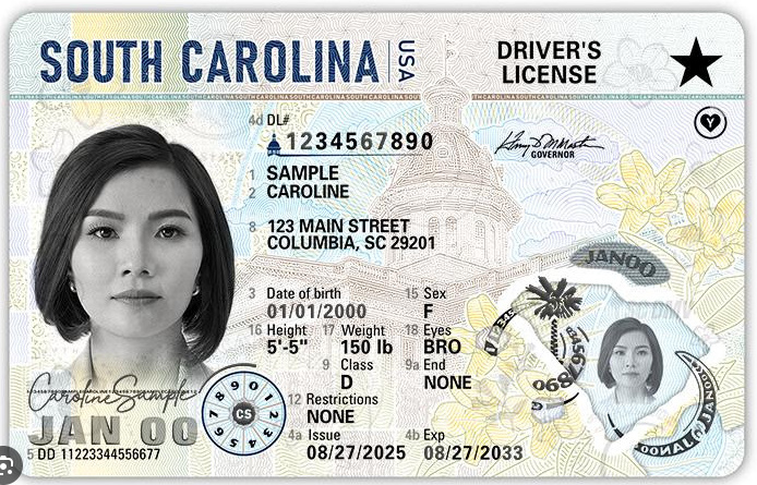 South Carolina Fake ID